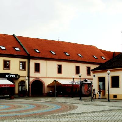 Grad Ludbreg